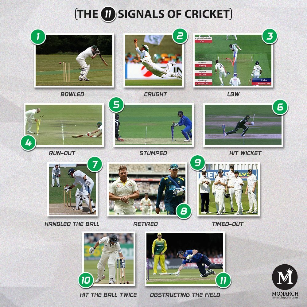 Signals in Cricket