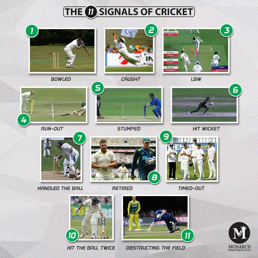 cricket signals